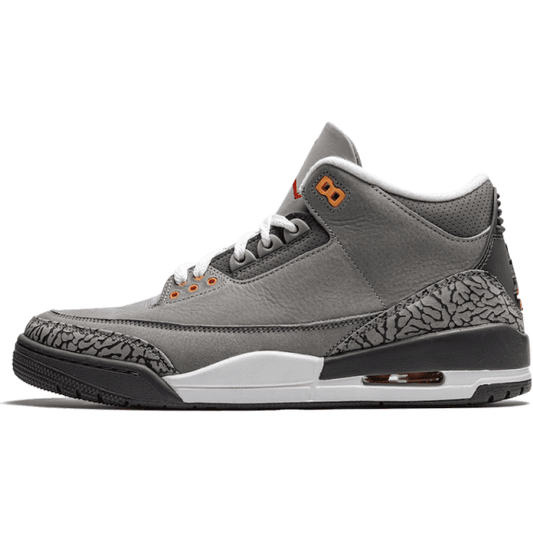 Air Jordan 3 "Cool Grey"