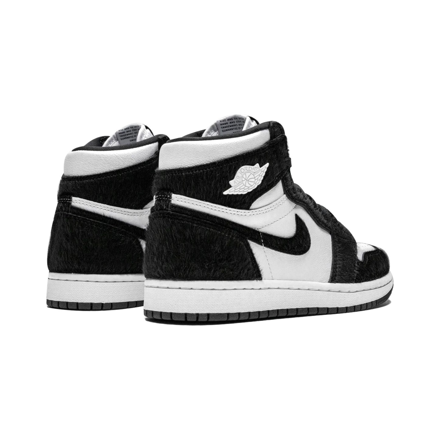Air Jordan 1  "Twist"
