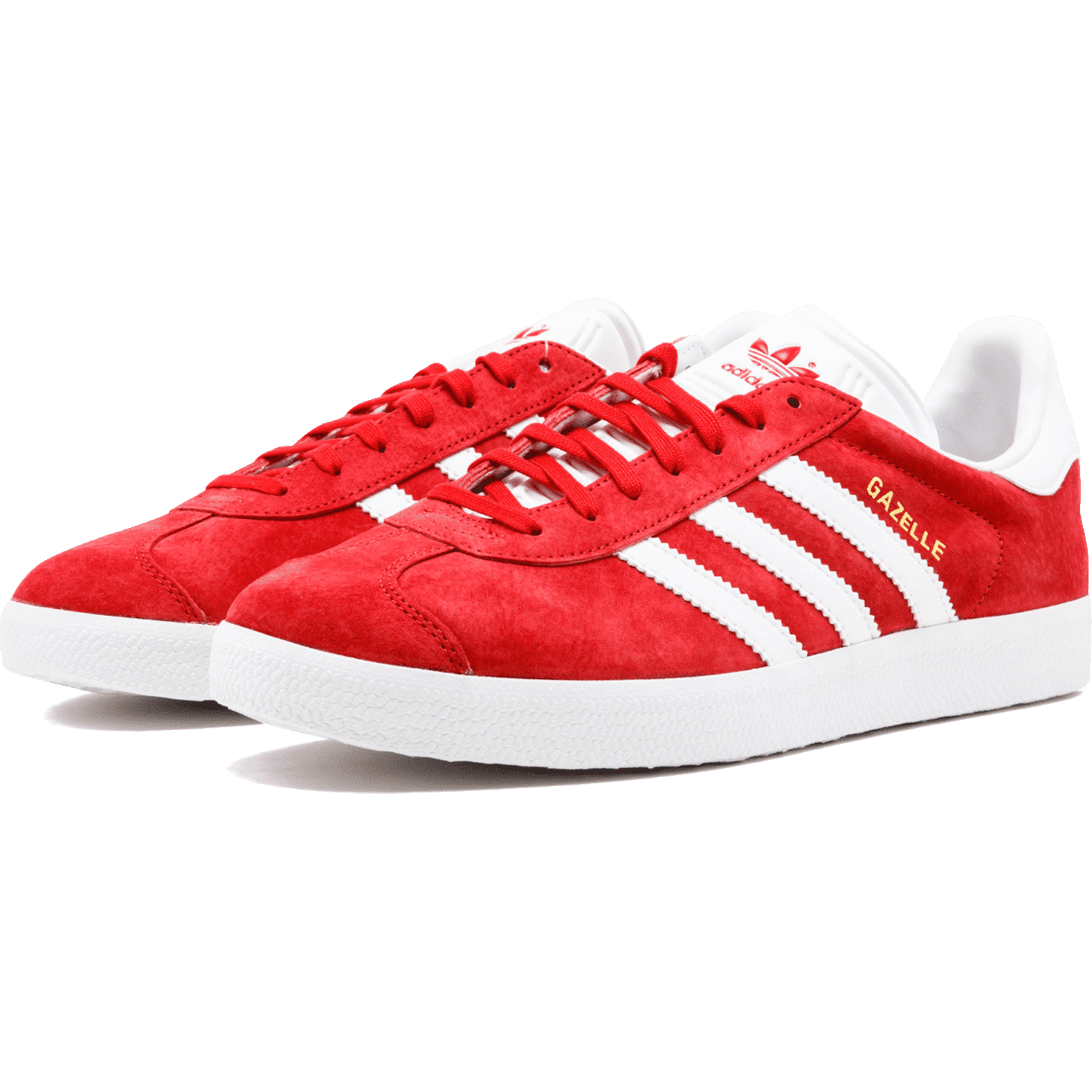 Gazelle - Manore Store